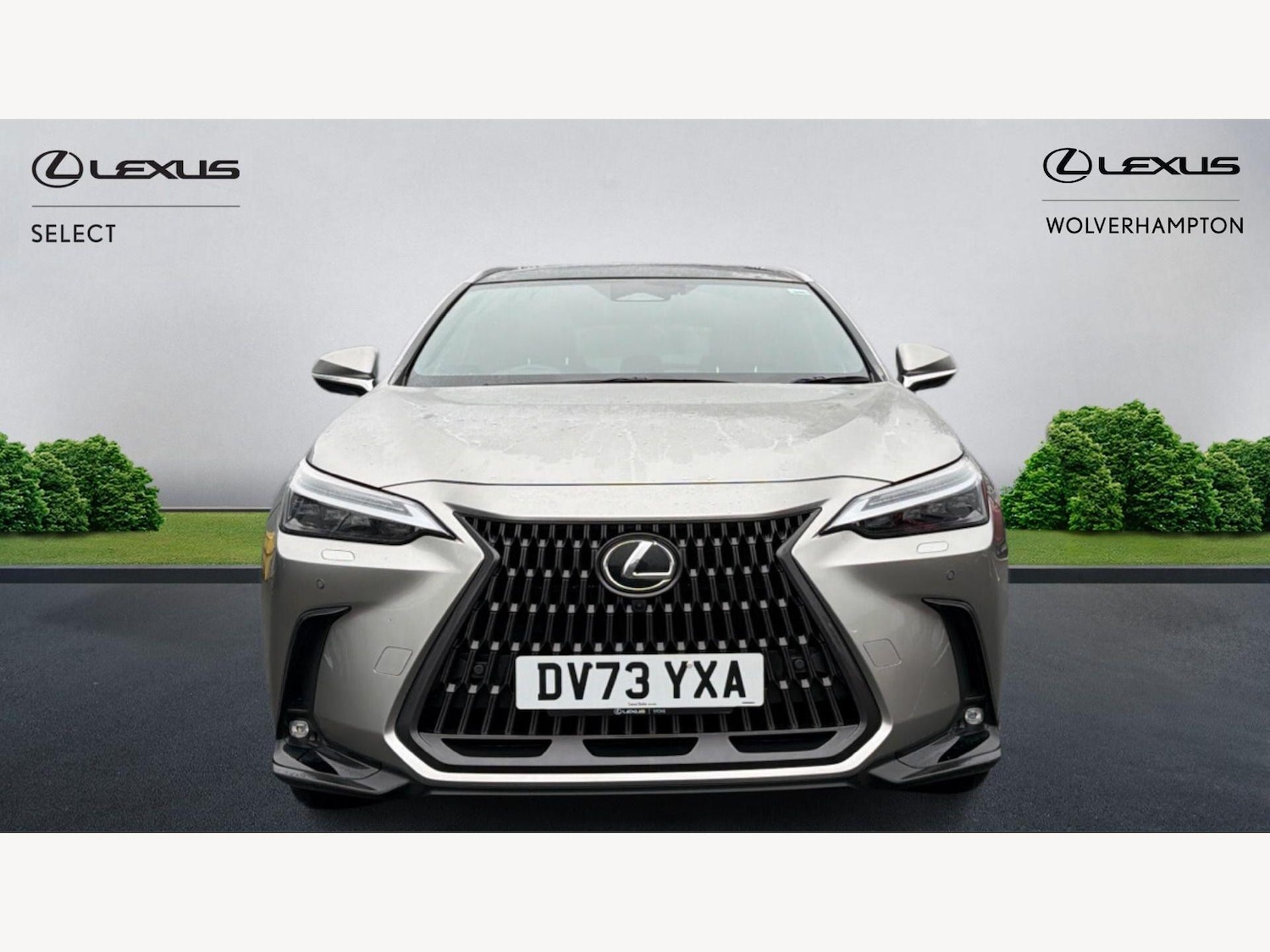 Used Lexus NX 2023 for sale - 77908683: Photo 6