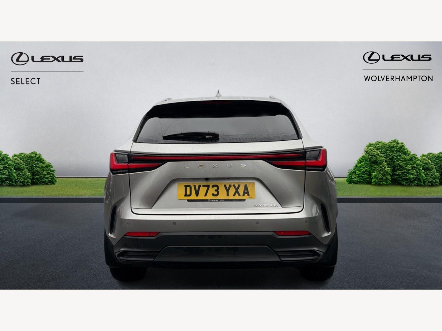 Used Lexus NX 2023 for sale - 77908683: Photo 7