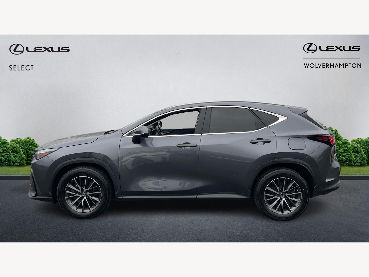 Used Lexus NX 2022 for sale - 77705217: Photo 3