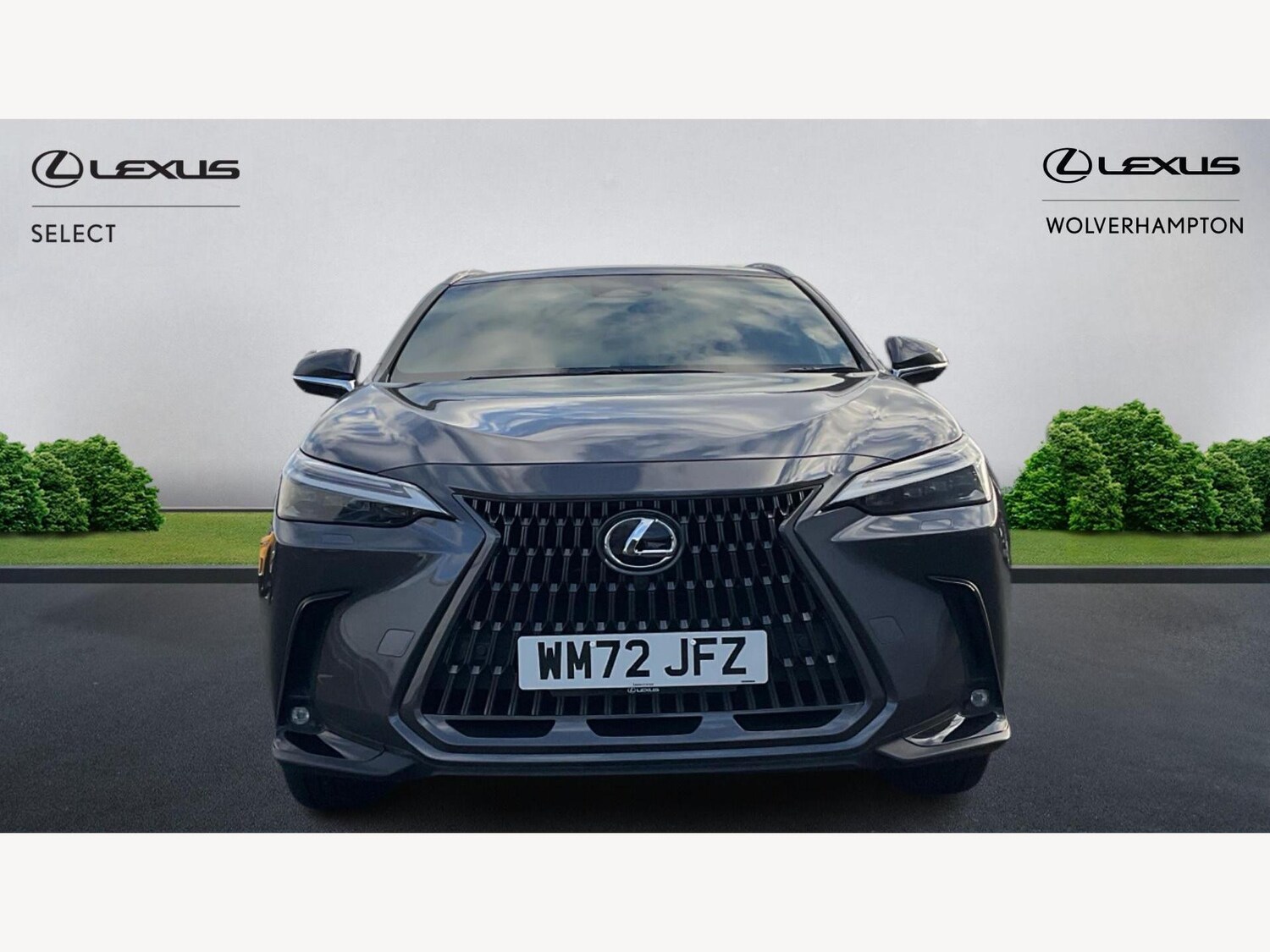 Used Lexus NX 2022 for sale - 77066479: Photo 6