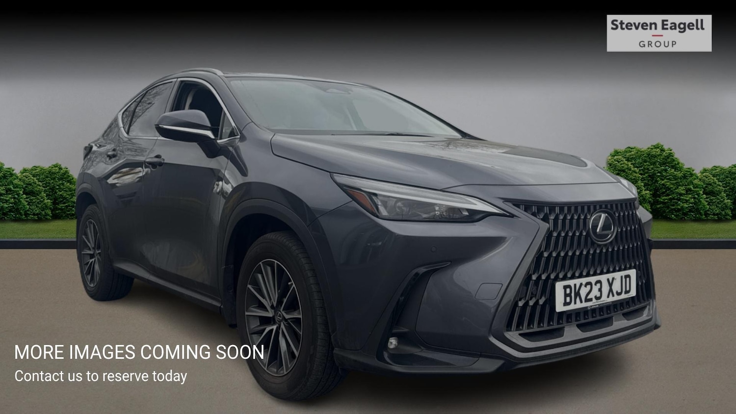 Used Lexus NX for sale - 78057991: Photo 1