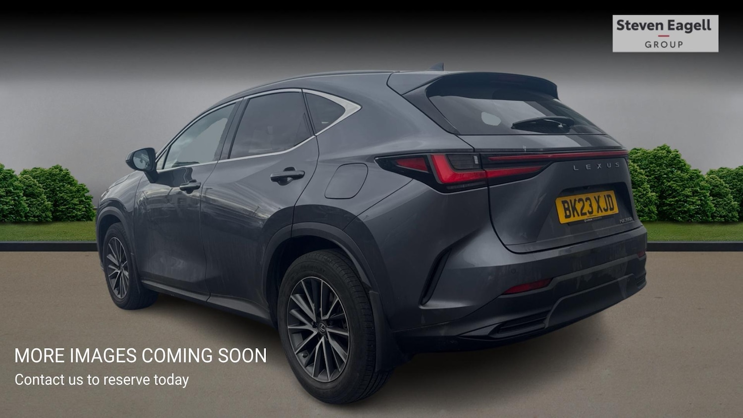Used Lexus NX for sale - 78057991: Photo 2