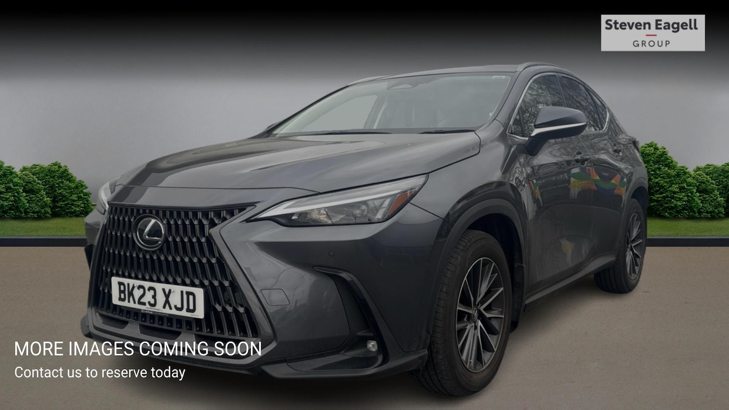 Used Lexus NX for sale - 78057991: Photo 3