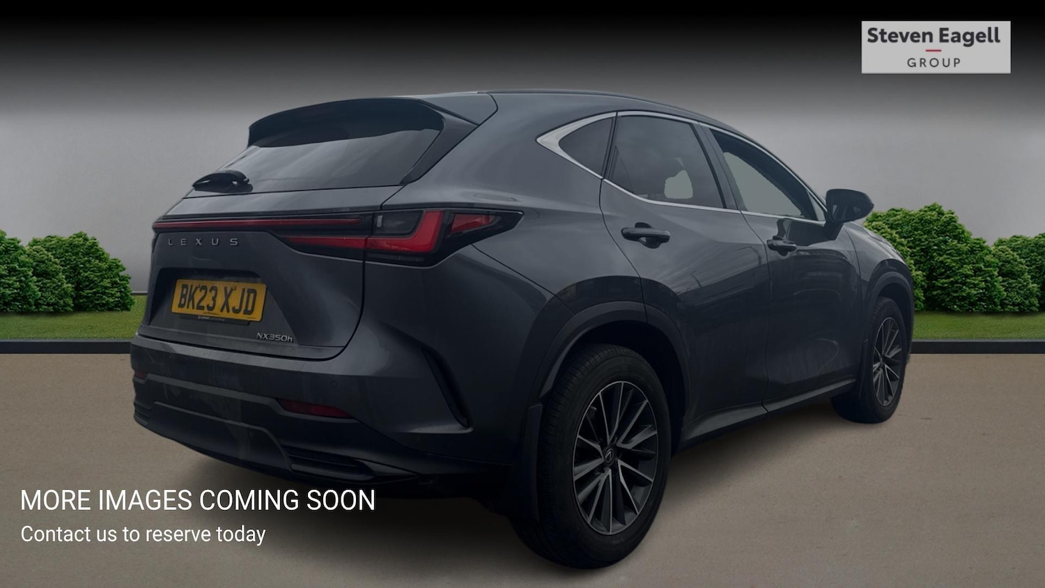 Used Lexus NX for sale - 78057991: Photo 4
