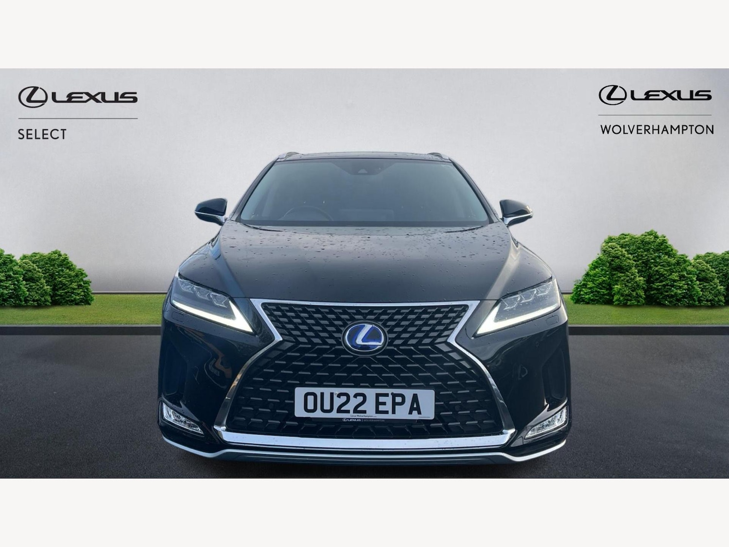 Used Lexus RX 2022 for sale - 77040185: Photo 6