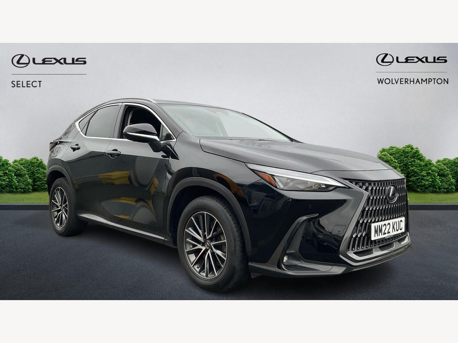 Used Lexus NX for sale - 77670535: Photo 1