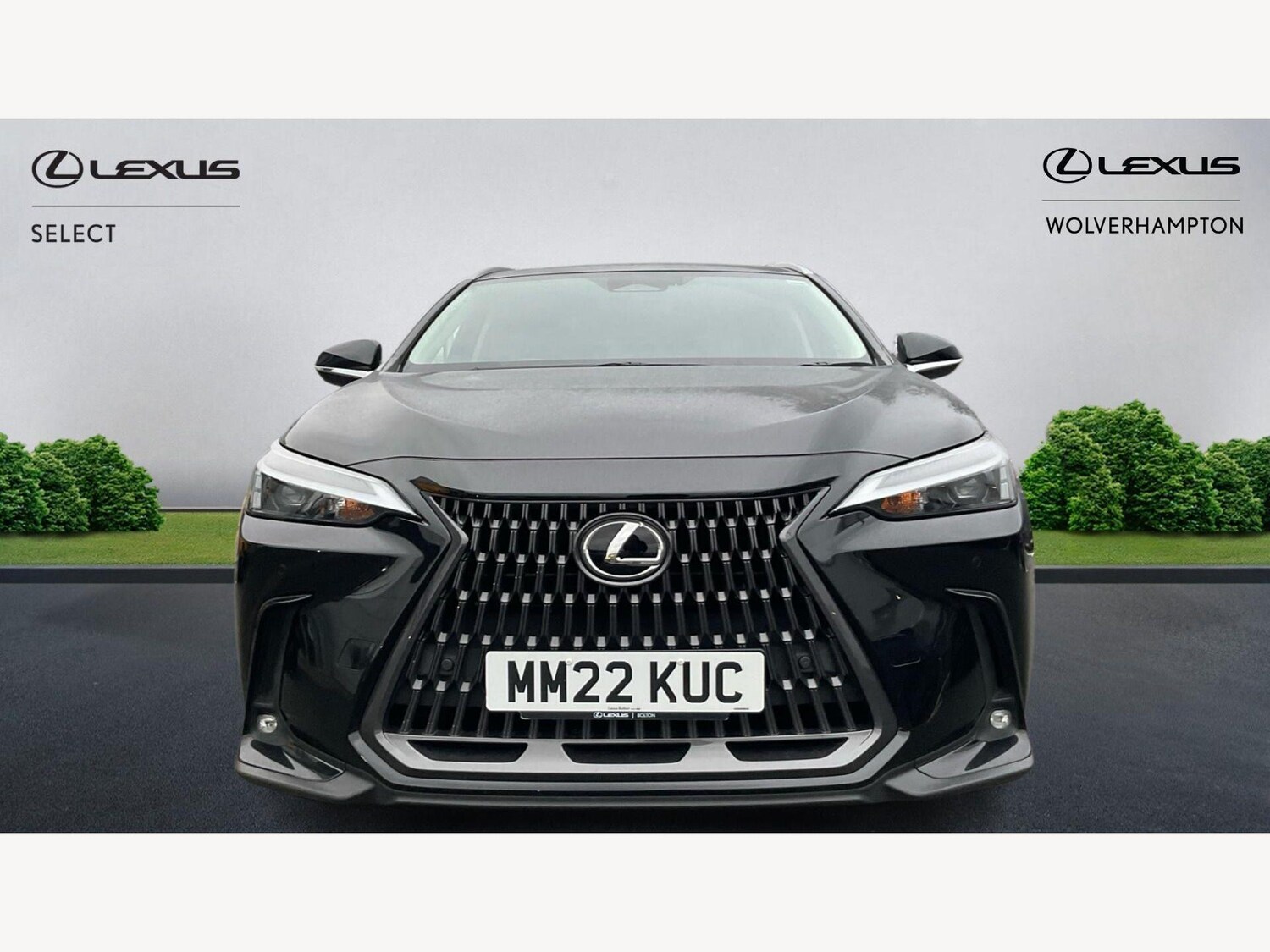 Used Lexus NX for sale - 77670535: Photo 6