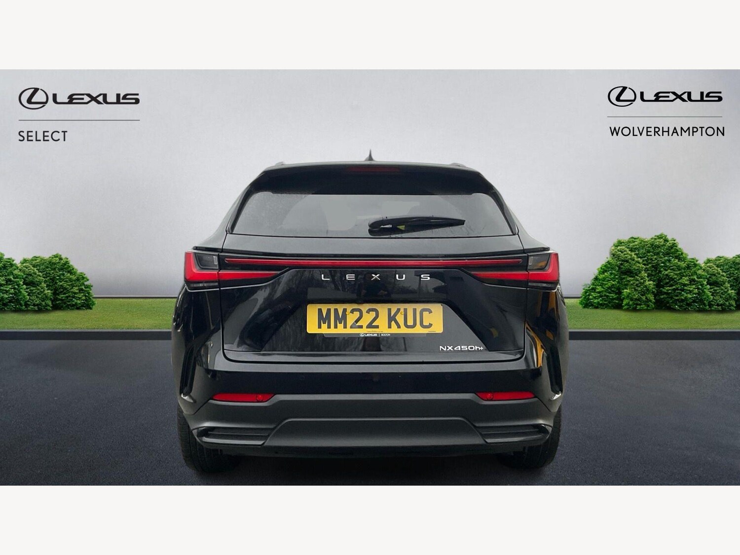 Used Lexus NX for sale - 77670535: Photo 7
