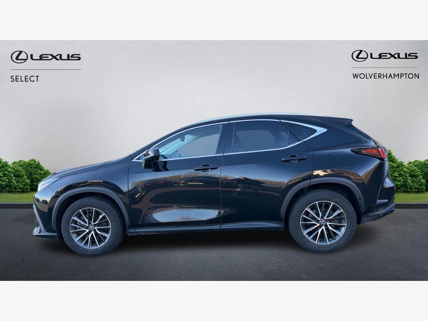 Used Lexus NX 2022 for sale - 77565042: Photo 3