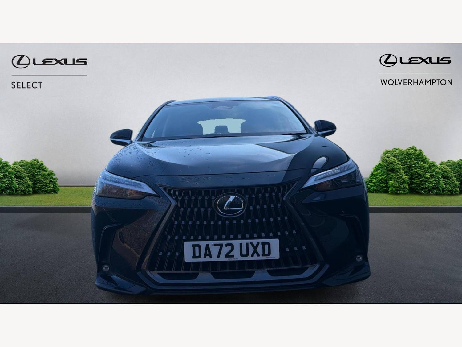 Used Lexus NX 2022 for sale - 77565042: Photo 6