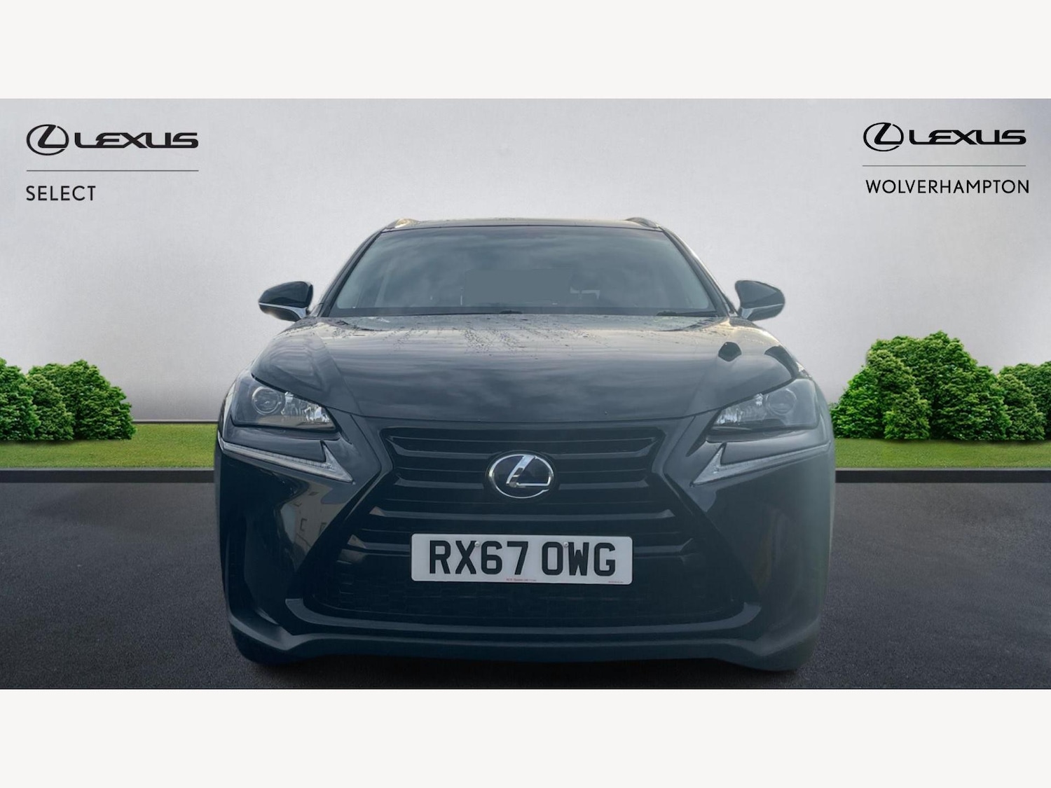 Used Lexus NX 2017 for sale - 76633744: Photo 6