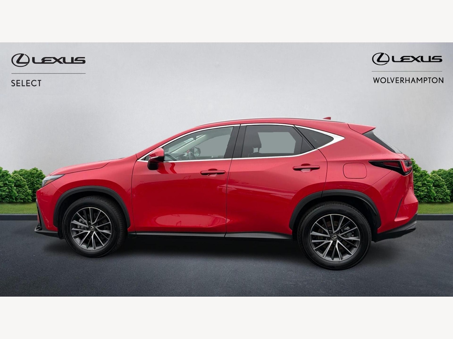 Used Lexus NX for sale - 77671543: Photo 3