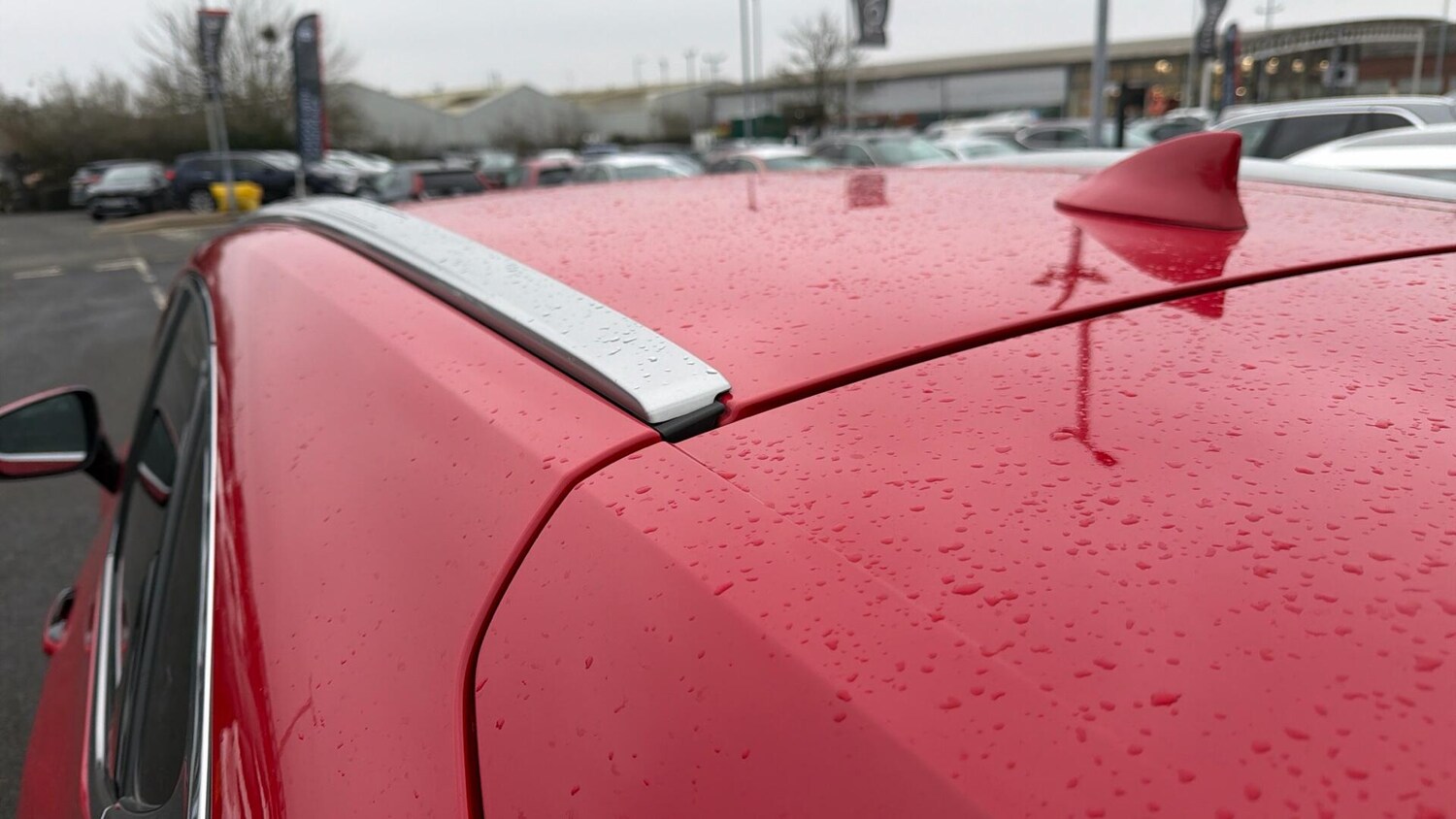 Used Lexus NX for sale - 77671543: Photo 61