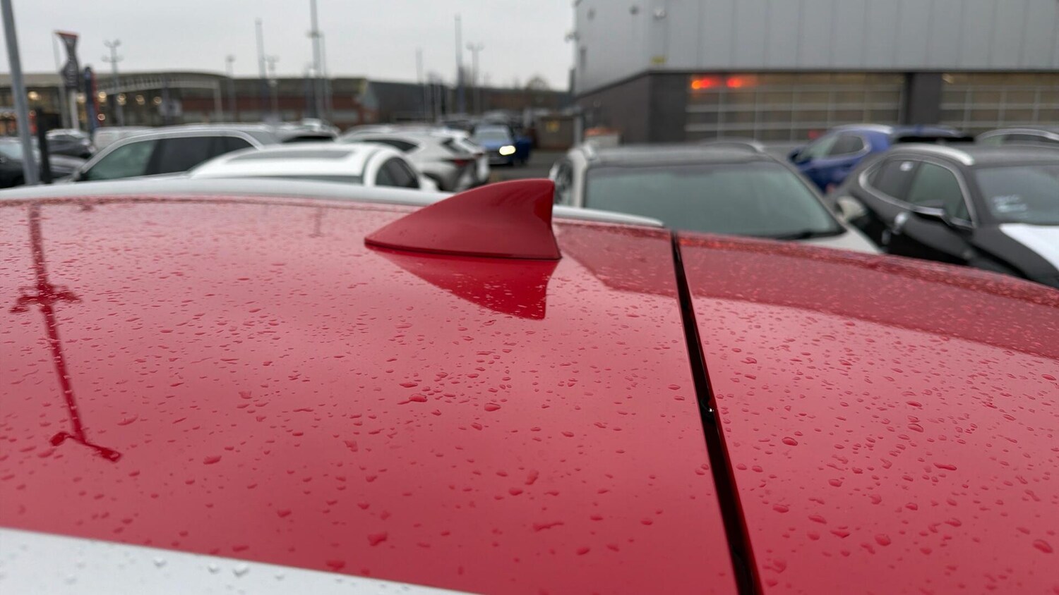 Used Lexus NX for sale - 77671543: Photo 62