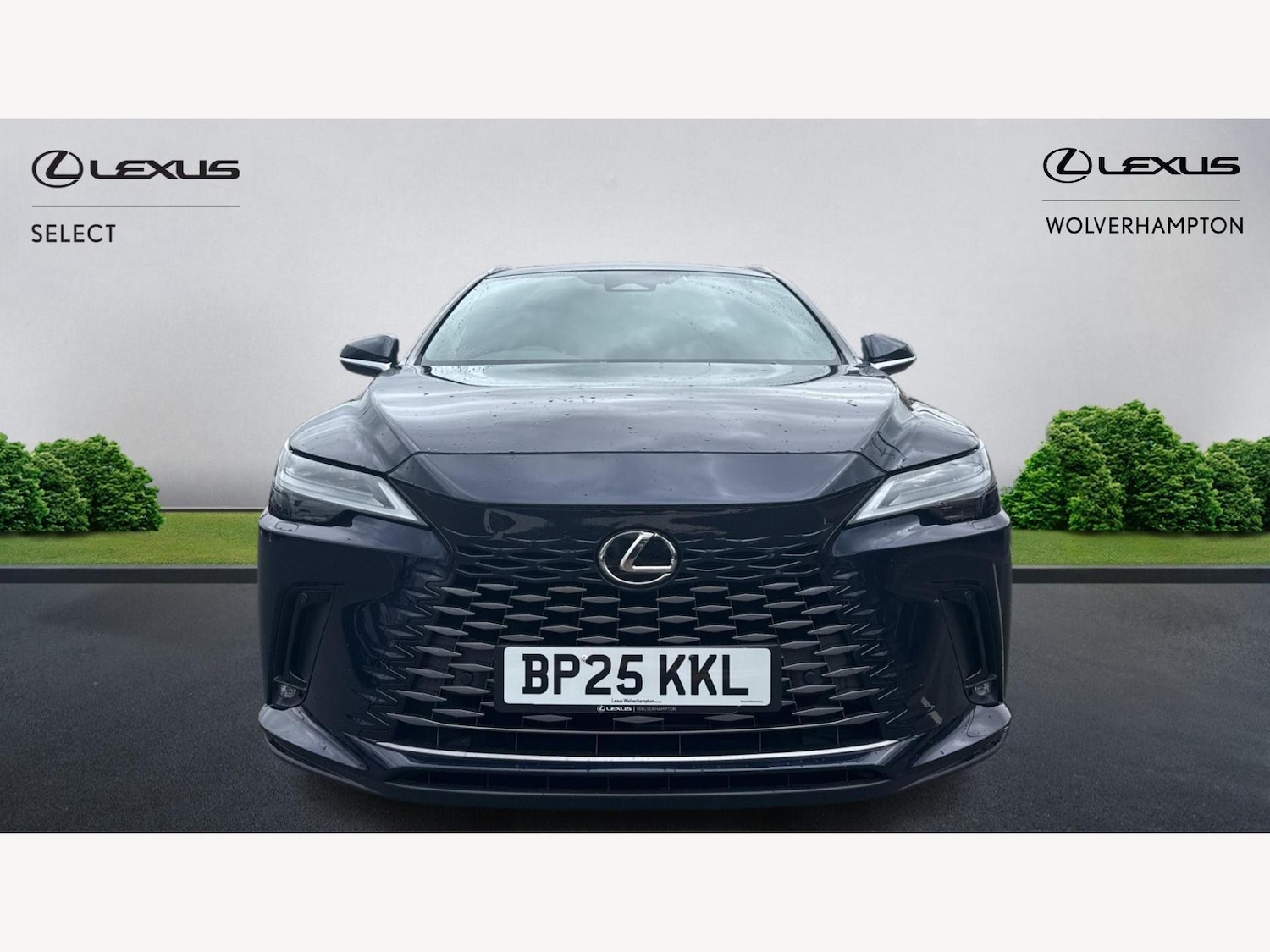 Used Lexus RX 2025 for sale - 76283345: Photo 6