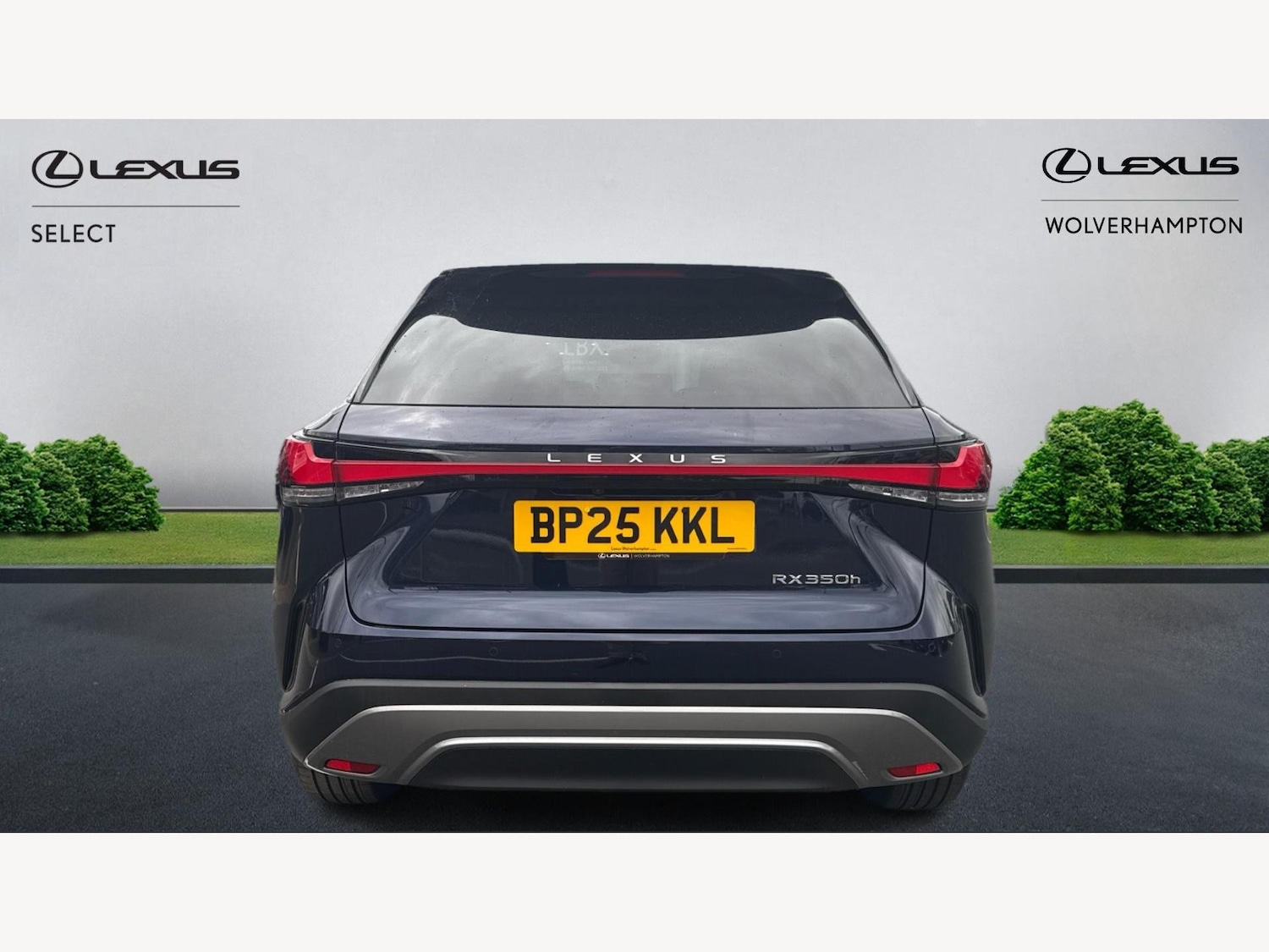 Used Lexus RX 2025 for sale - 76283345: Photo 7