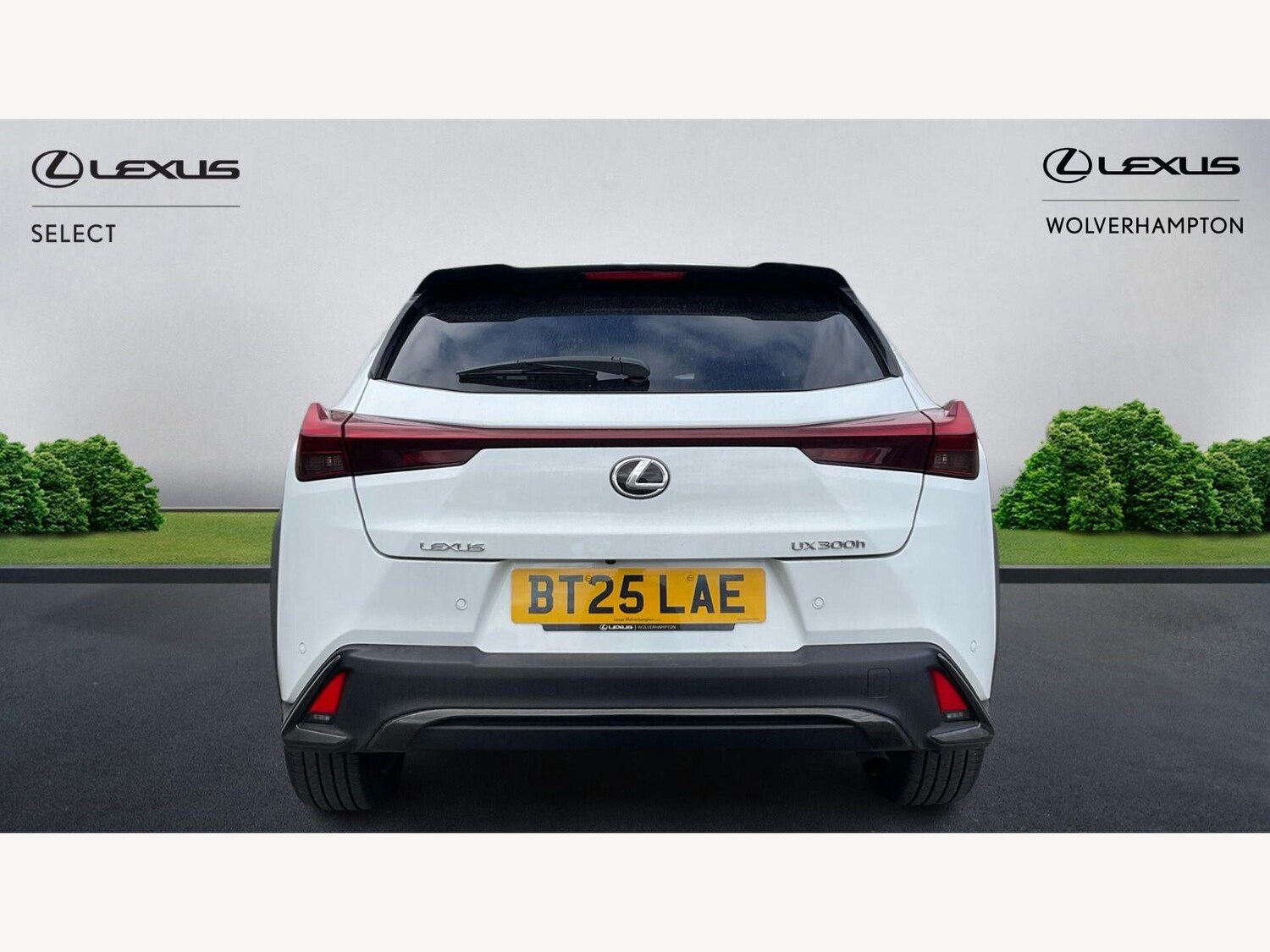 Used Lexus UX 2025 for sale - 77909096: Photo 7