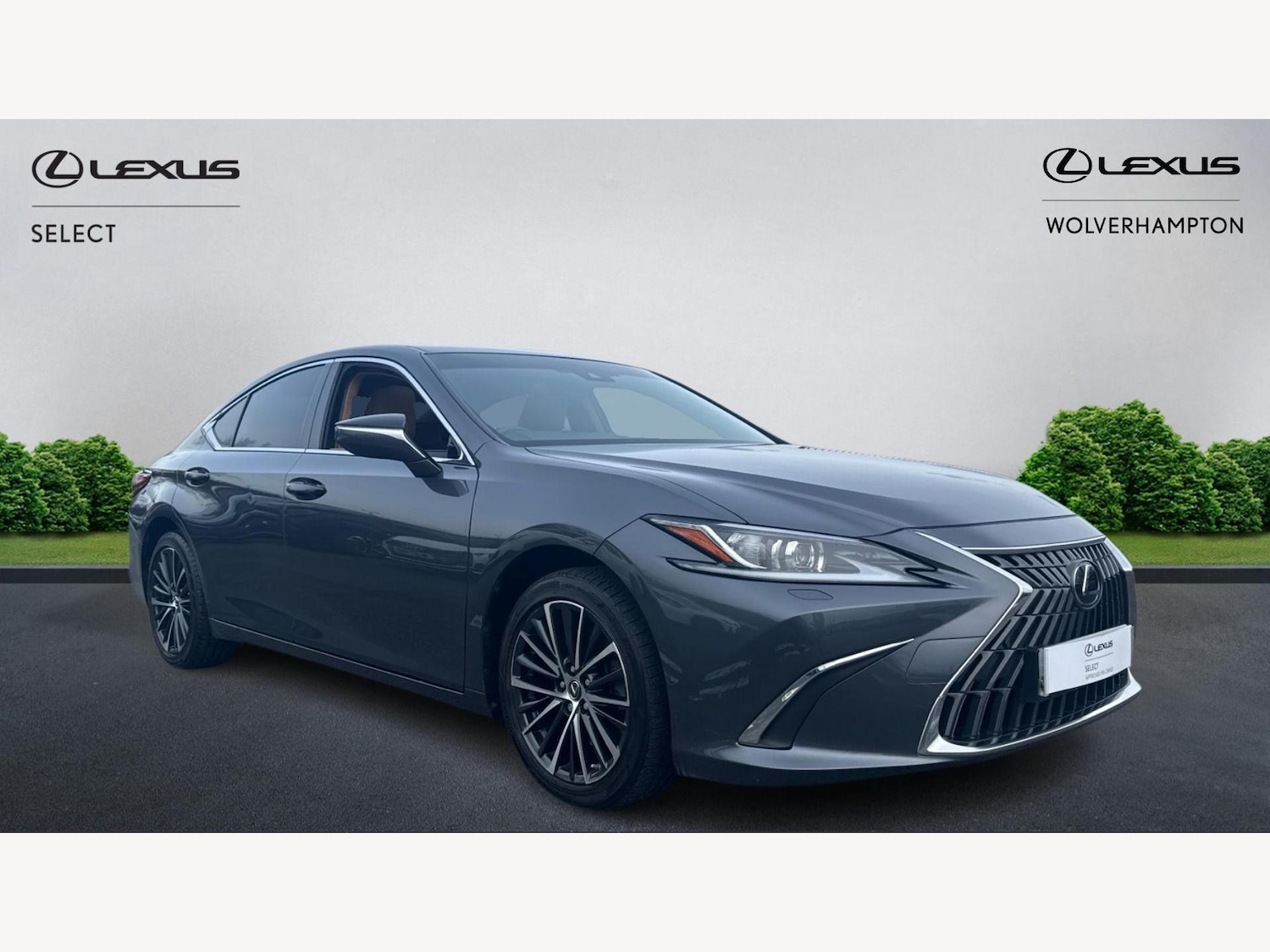 Used Lexus ES 2022 for sale - 77564858: Photo 1