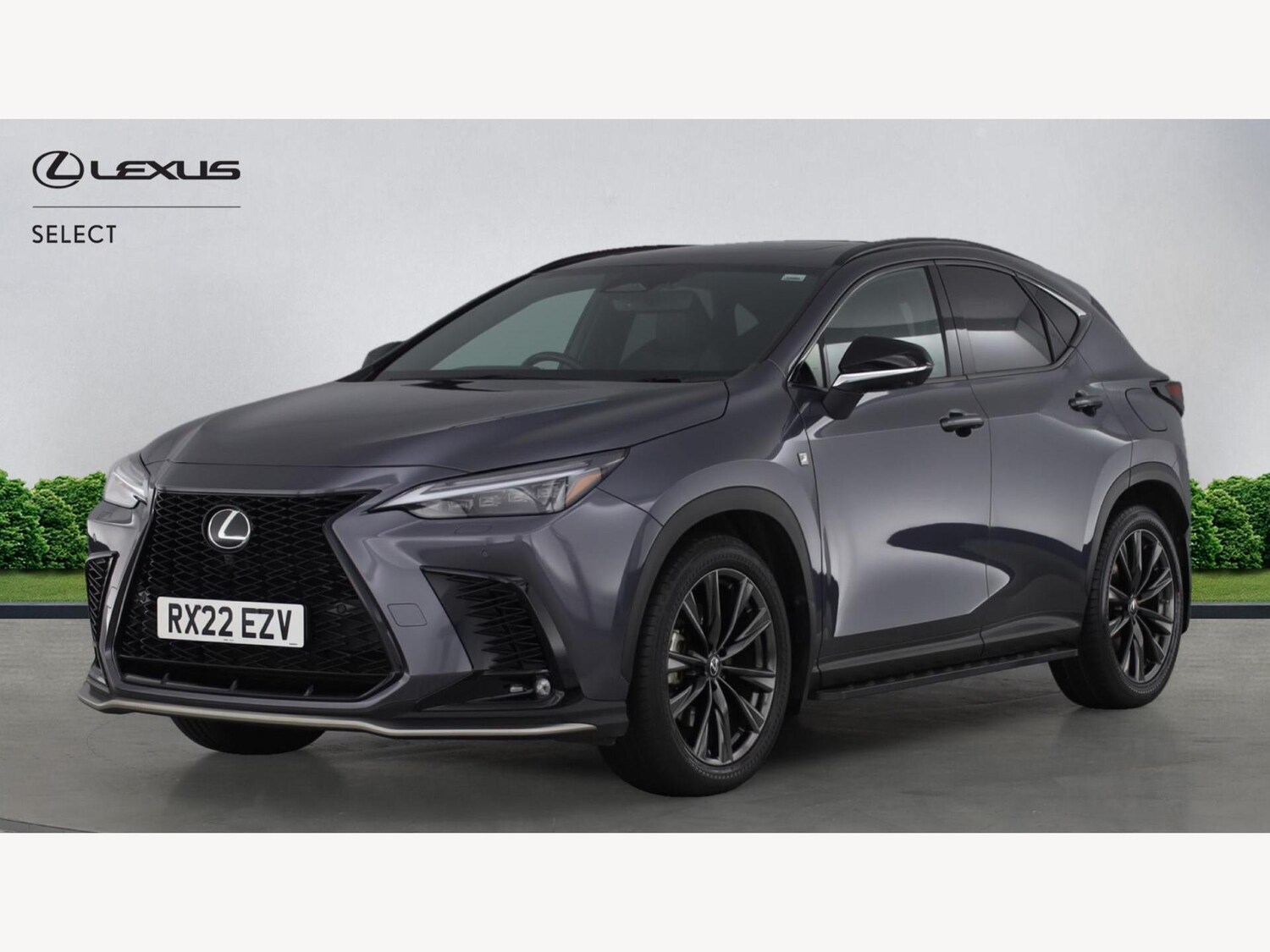 Used Lexus NX 2022 for sale - 77455198: Photo 19