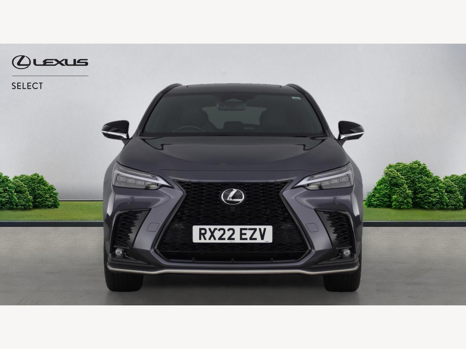 Used Lexus NX 2022 for sale - 77455198: Photo 6