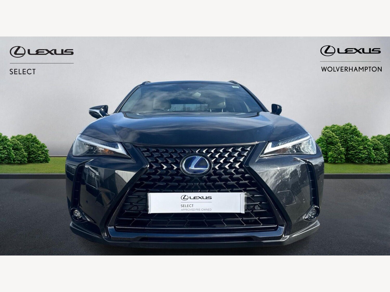 Used Lexus UX 2022 for sale - 77908592: Photo 6