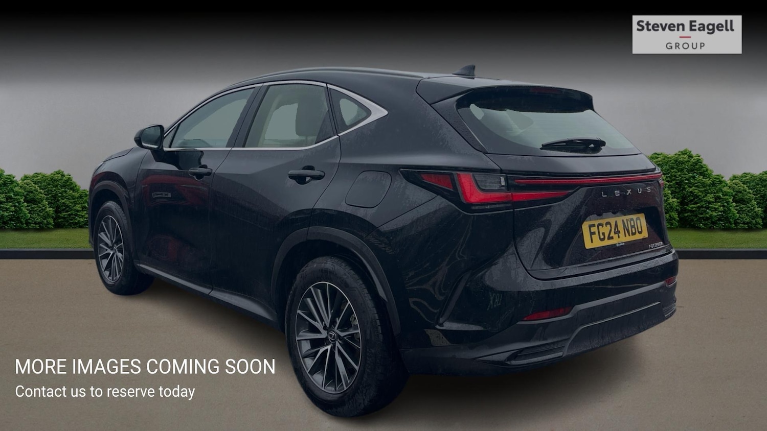 Used Lexus NX 2024 for sale - 77564988: Photo 2