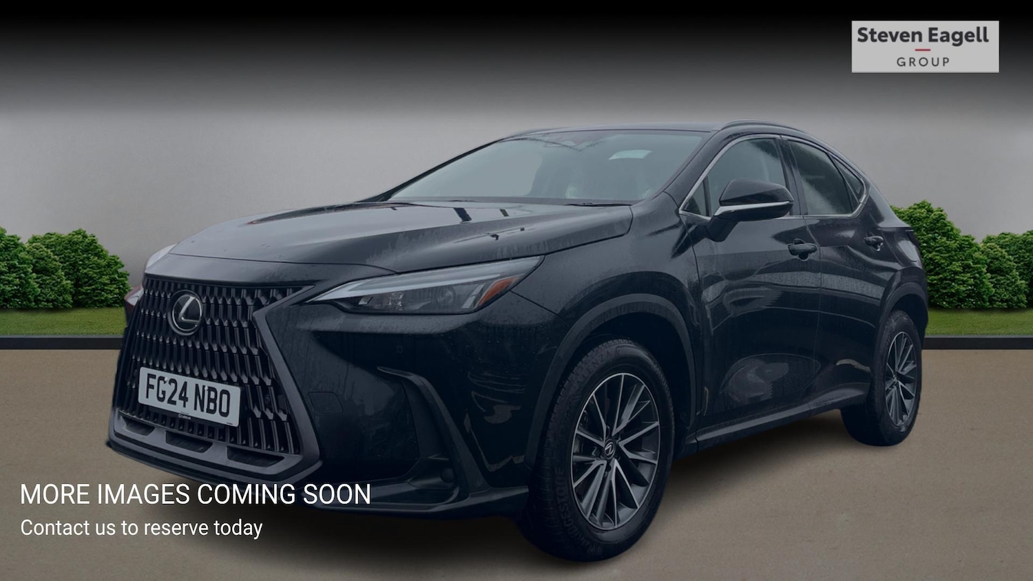 Used Lexus NX 2024 for sale - 77564988: Photo 3