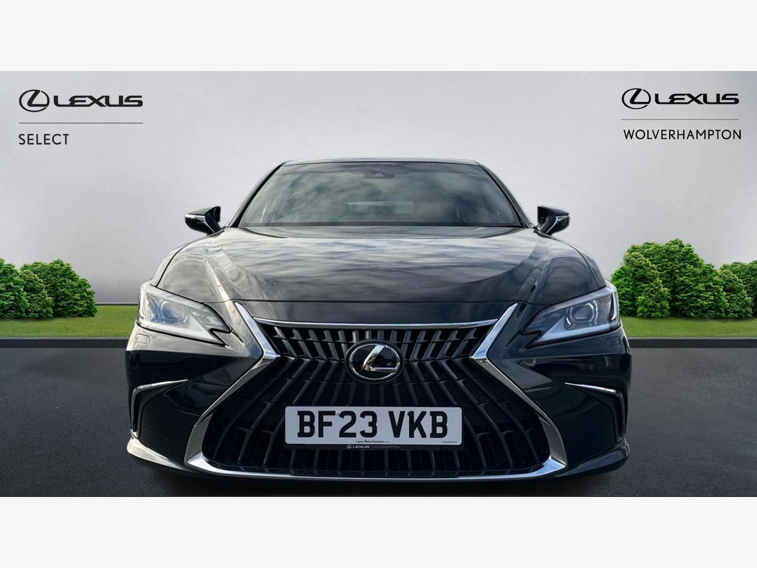 Used Lexus ES 2023 for sale - 76538077: Photo 6