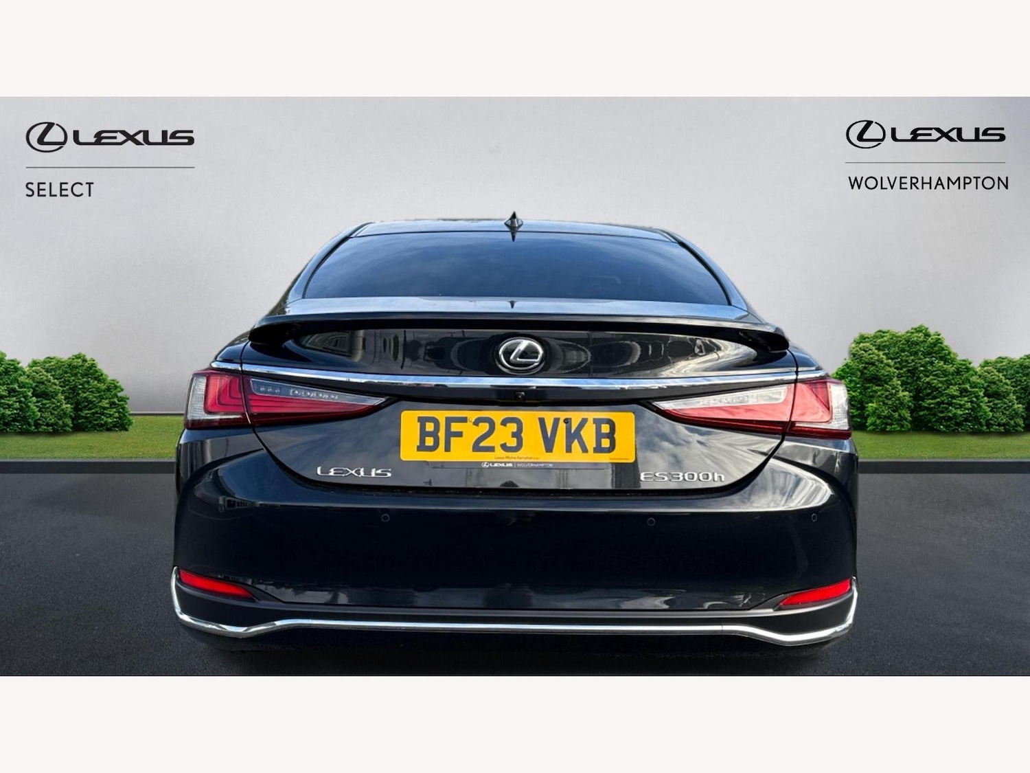 Used Lexus ES 2023 for sale - 76538077: Photo 7
