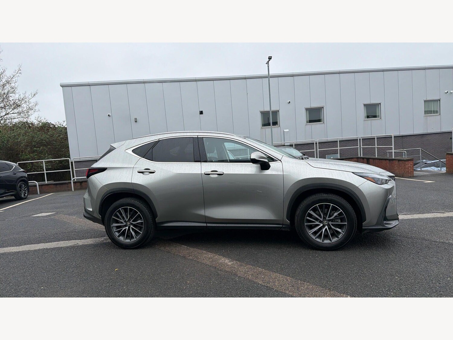 Used Lexus NX for sale - 77809171: Photo 18