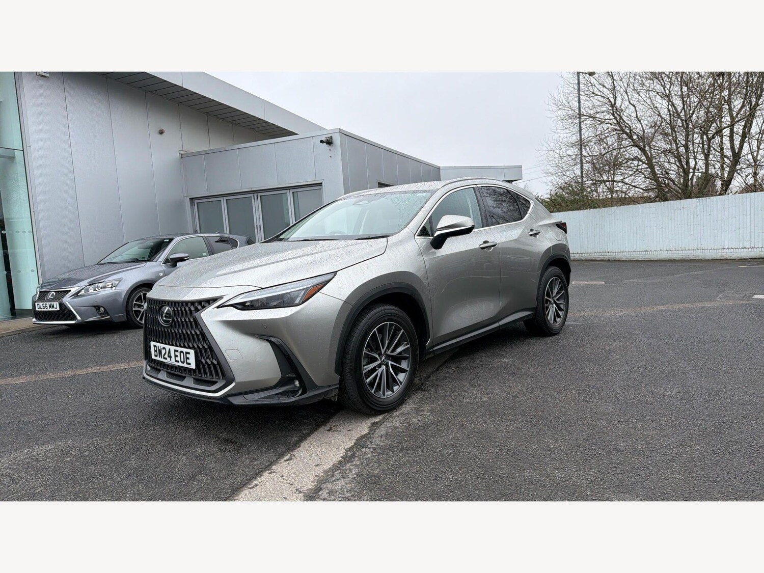 Used Lexus NX for sale - 77809171: Photo 19