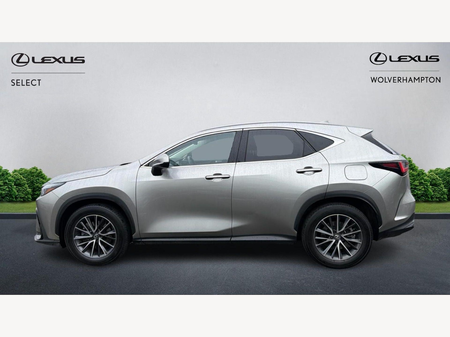 Used Lexus NX for sale - 77809171: Photo 3