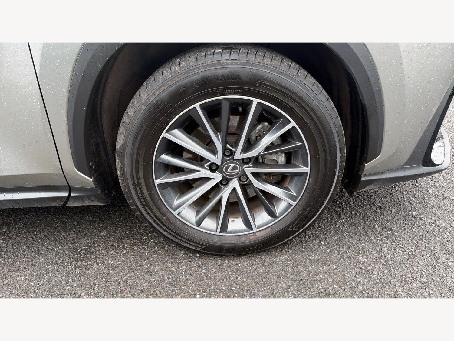 Used Lexus NX for sale - 77809171: Photo 31