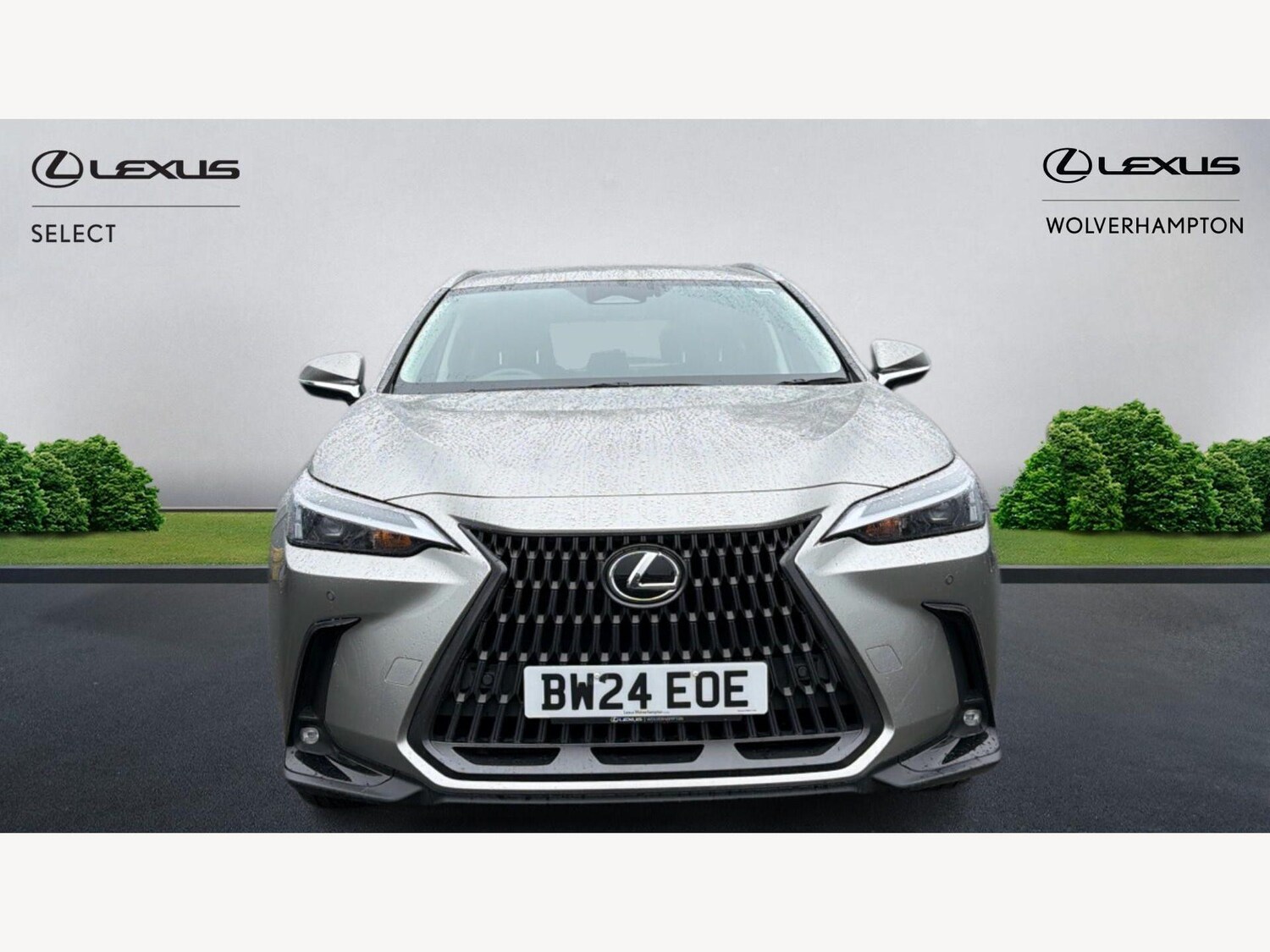 Used Lexus NX for sale - 77809171: Photo 6