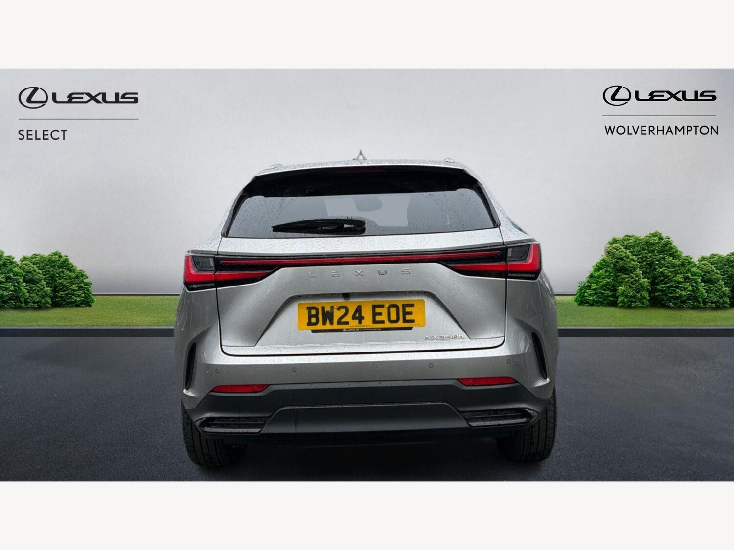 Used Lexus NX for sale - 77809171: Photo 7