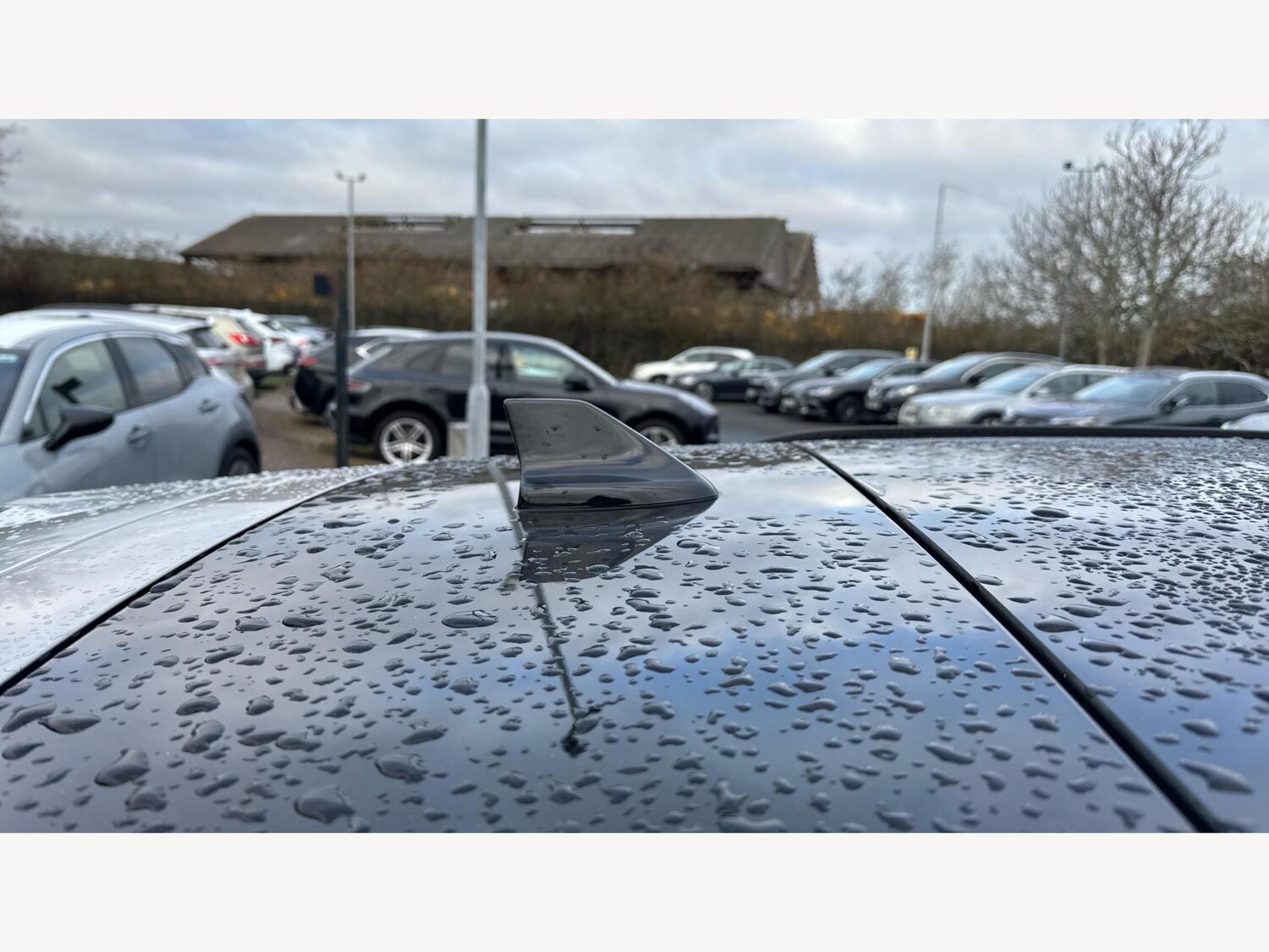 Used Ford Kuga 2023 for sale - 77066625: Photo 27