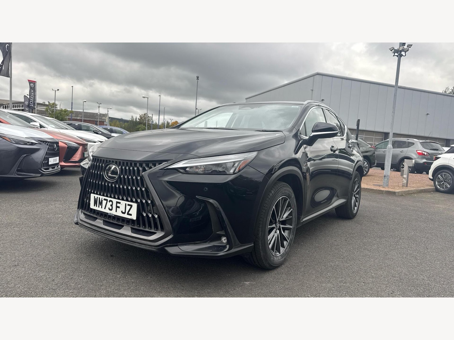 Used Lexus NX 2023 for sale - 76538951: Photo 19
