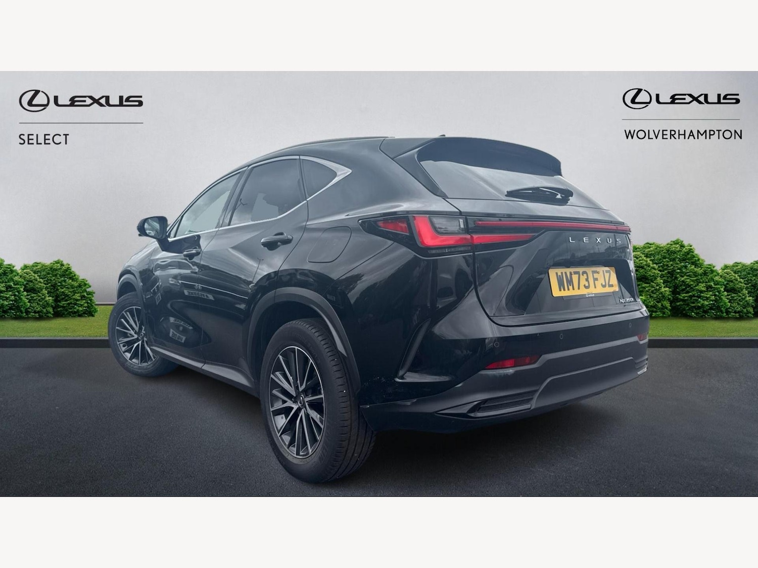 Used Lexus NX 2023 for sale - 76538951: Photo 2