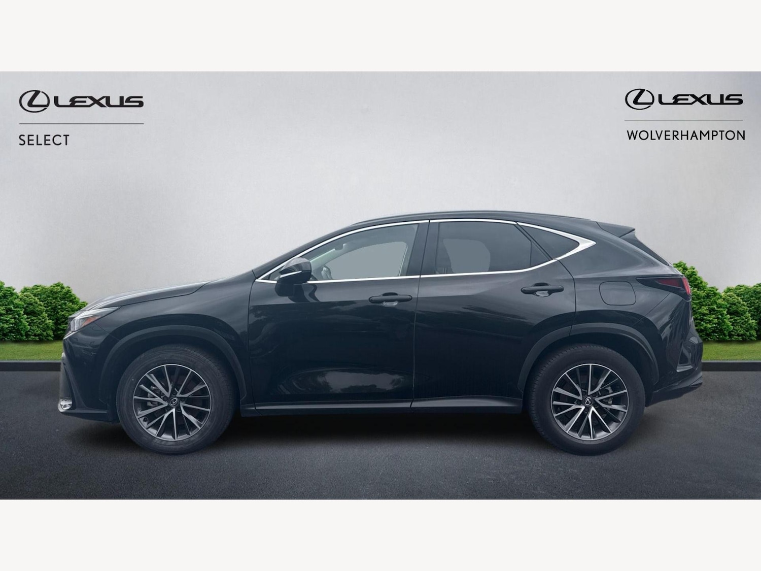 Used Lexus NX 2023 for sale - 76538951: Photo 3