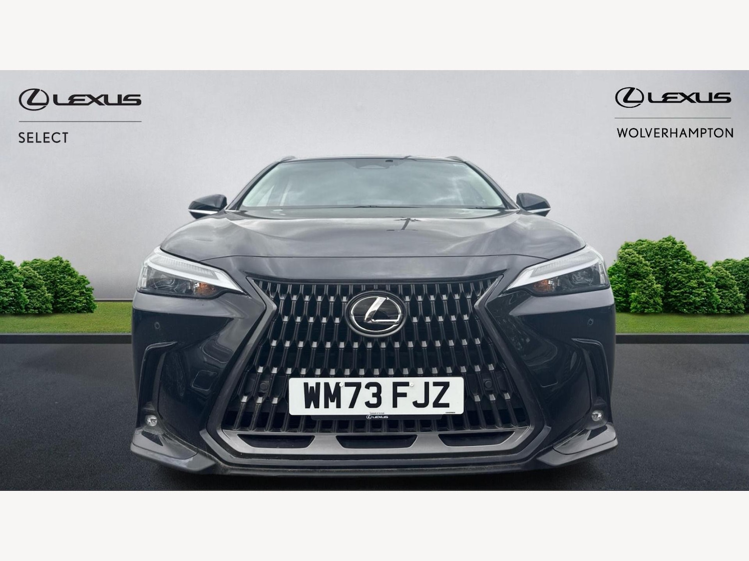 Used Lexus NX 2023 for sale - 76538951: Photo 6