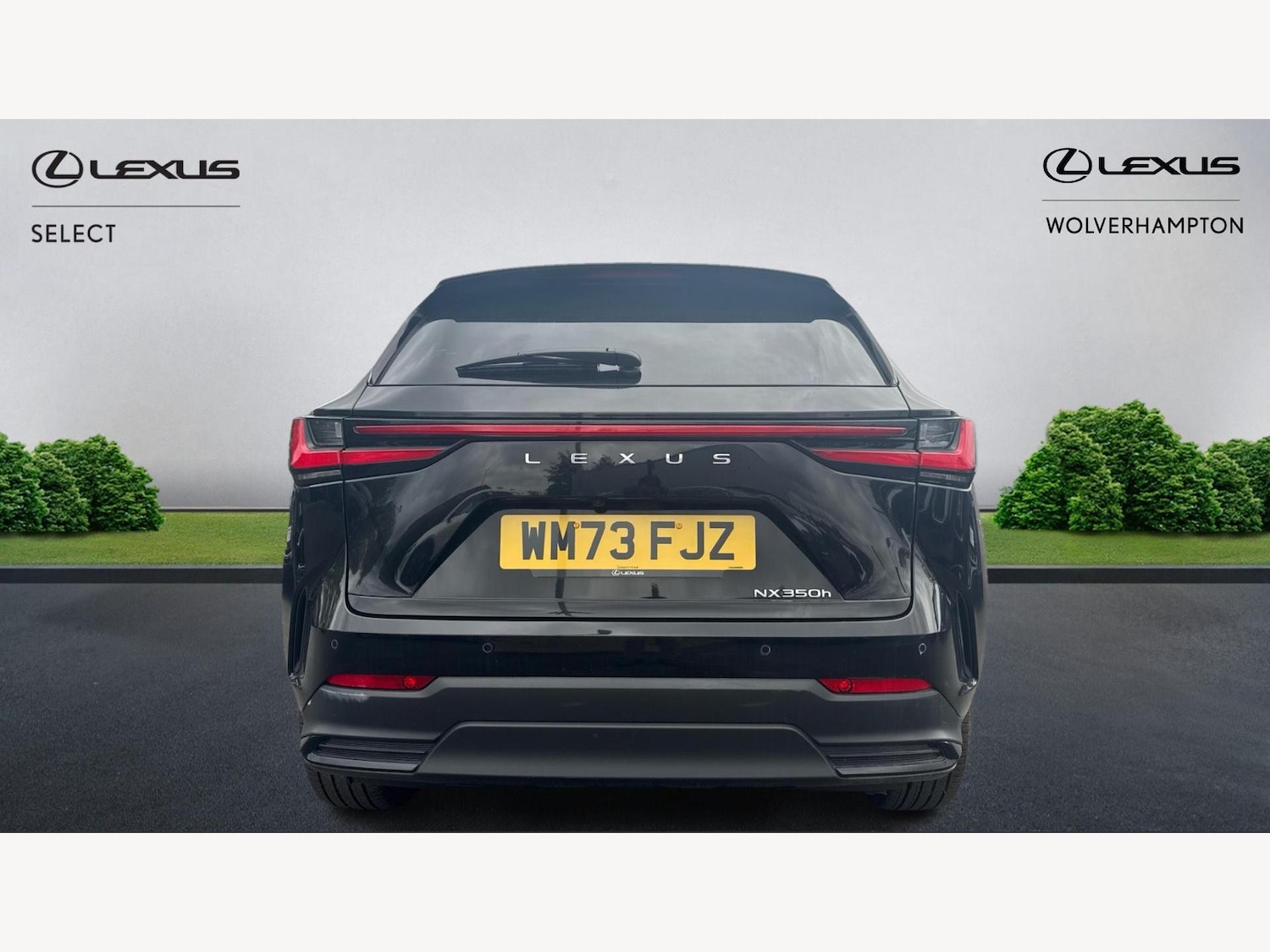 Used Lexus NX 2023 for sale - 76538951: Photo 7