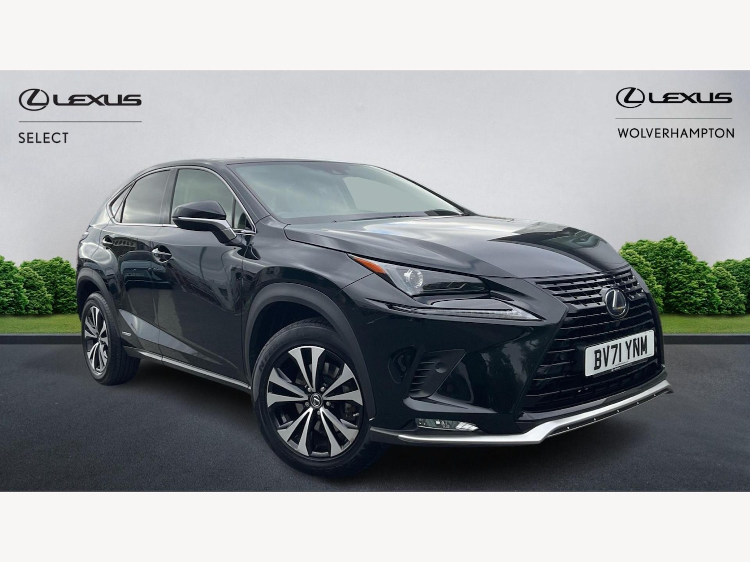Used Lexus NX 2021 for sale - 76538075: Photo 1