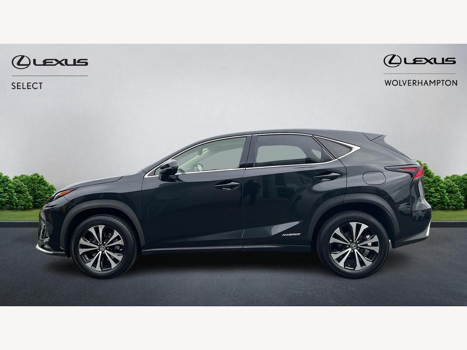 Used Lexus NX 2021 for sale - 76538075: Photo 3