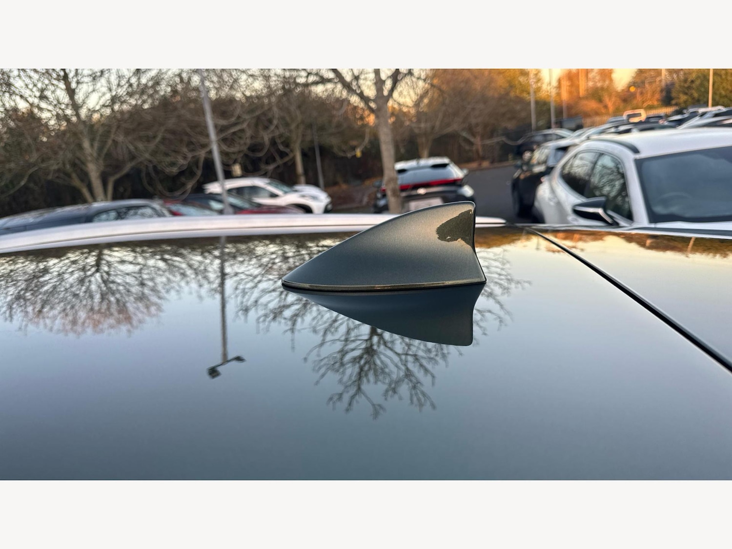 Used Lexus NX 2022 for sale - 76632783: Photo 24