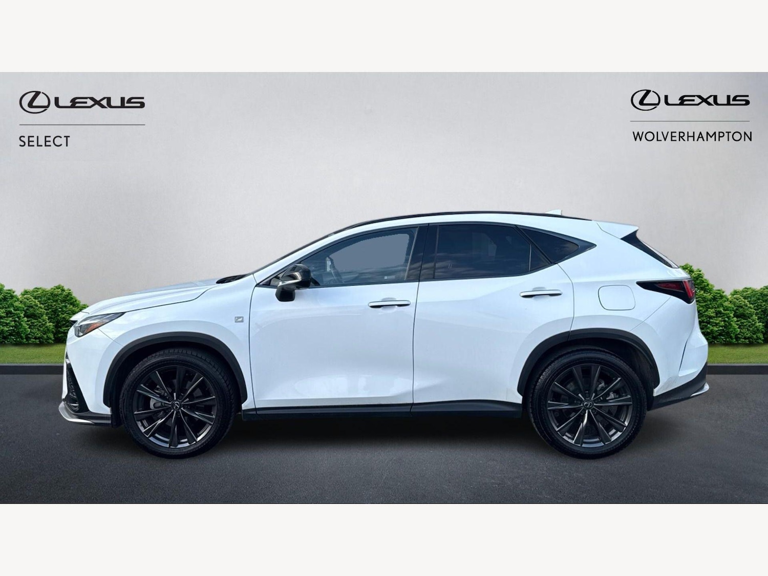 Used Lexus NX for sale - 77704826: Photo 3