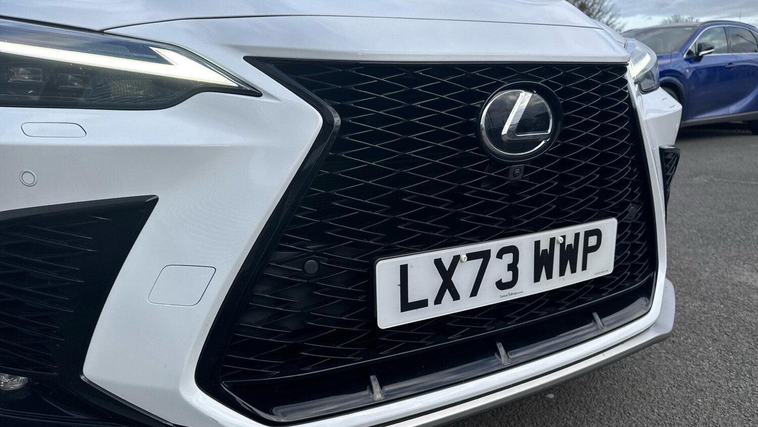 Used Lexus NX for sale - 77704826: Photo 41