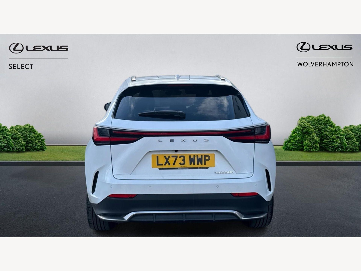 Used Lexus NX for sale - 77704826: Photo 7