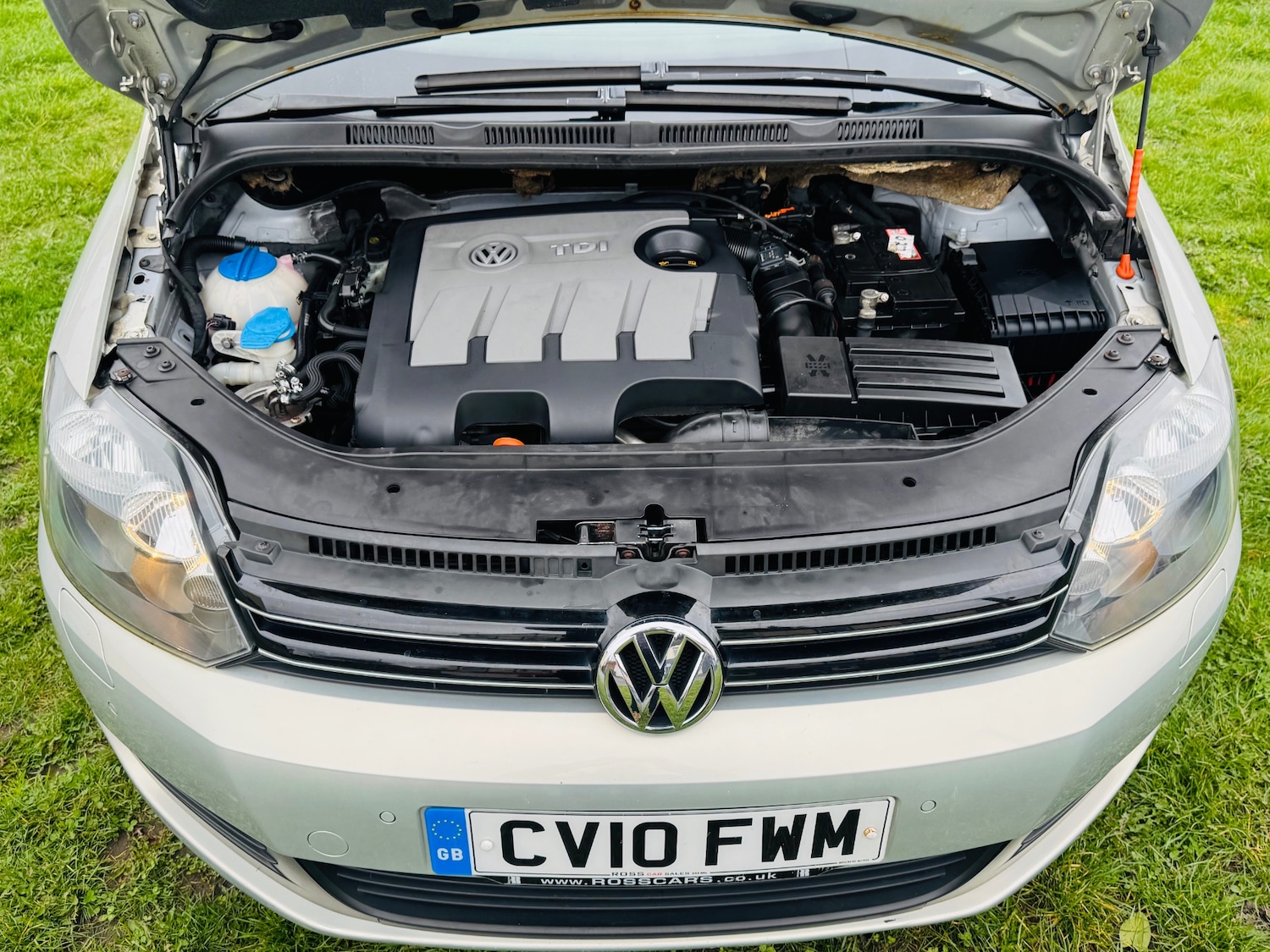 Used Volkswagen Golf Plus for sale - 77998696: Photo 3