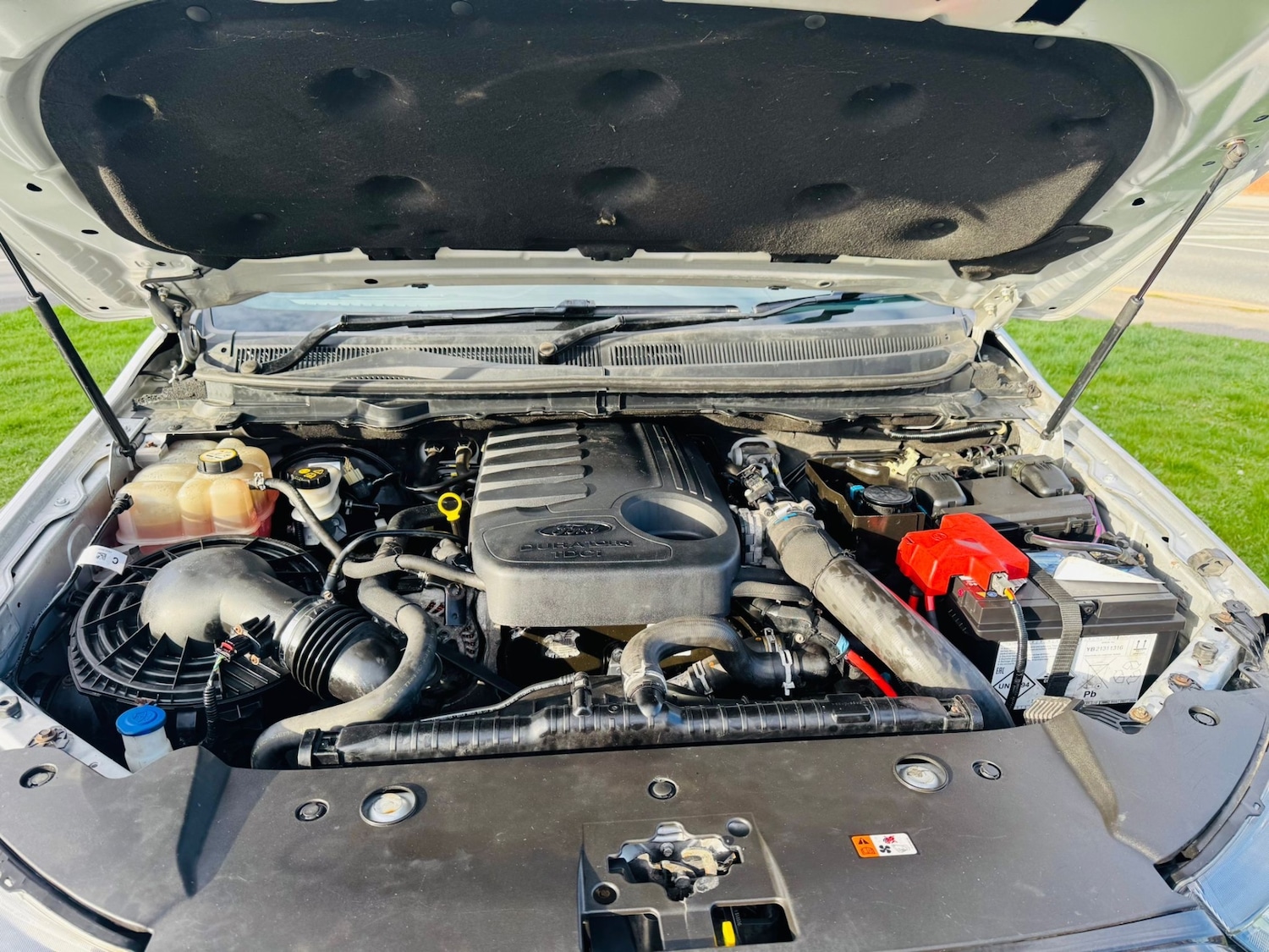 Used Ford Ranger 2016 for sale - 77840126: Photo 16