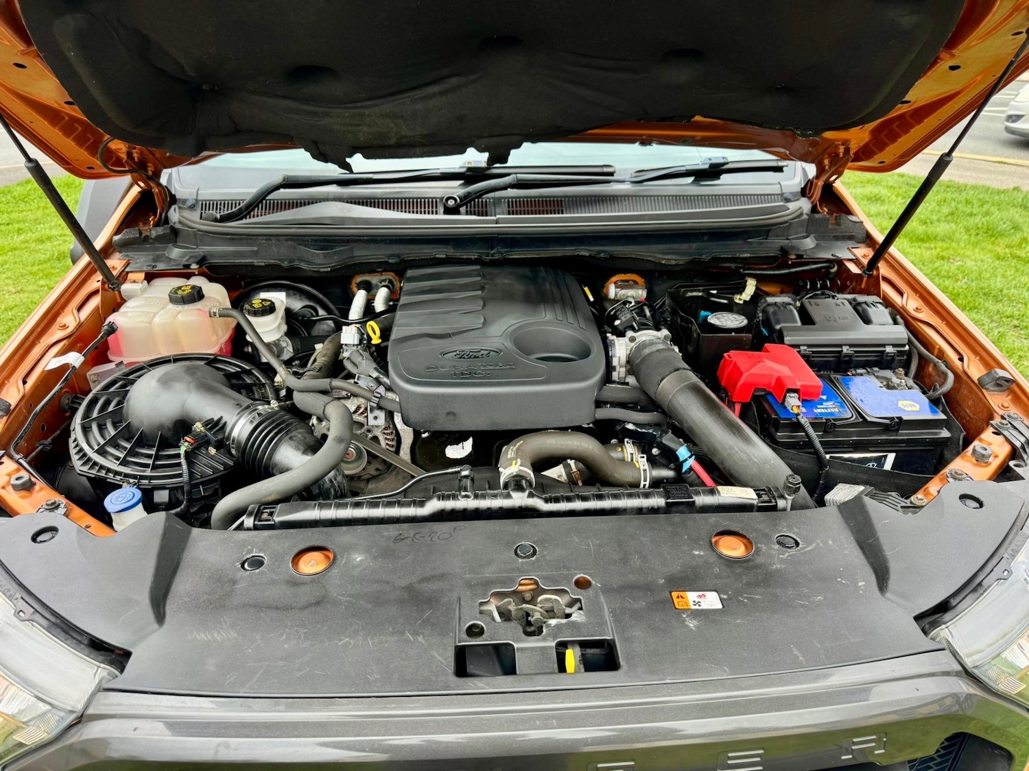 Used Ford Ranger 2017 for sale - 77897849: Photo 11